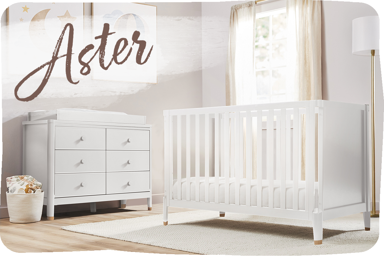 Aster Collection