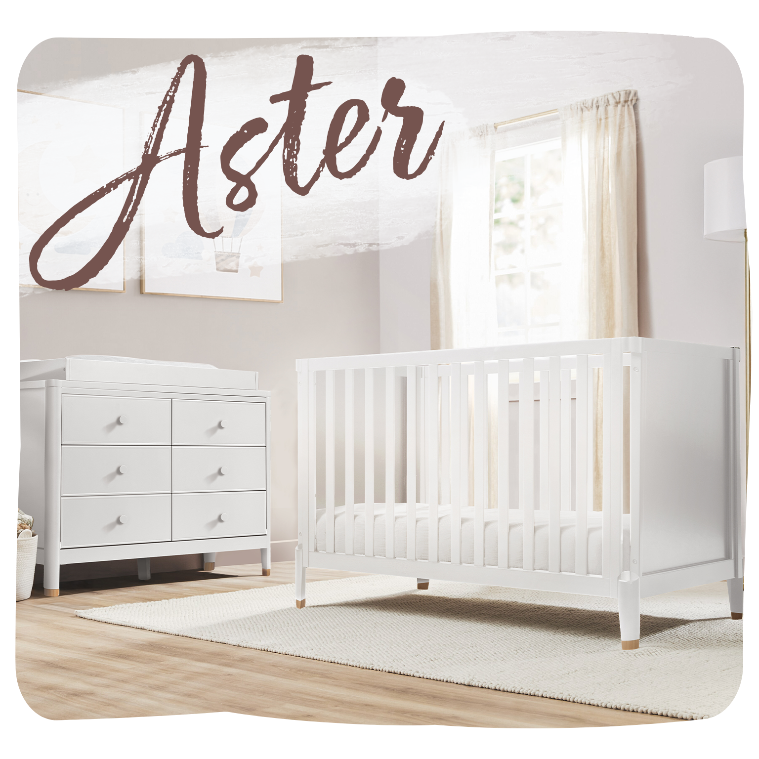 Aster Collection