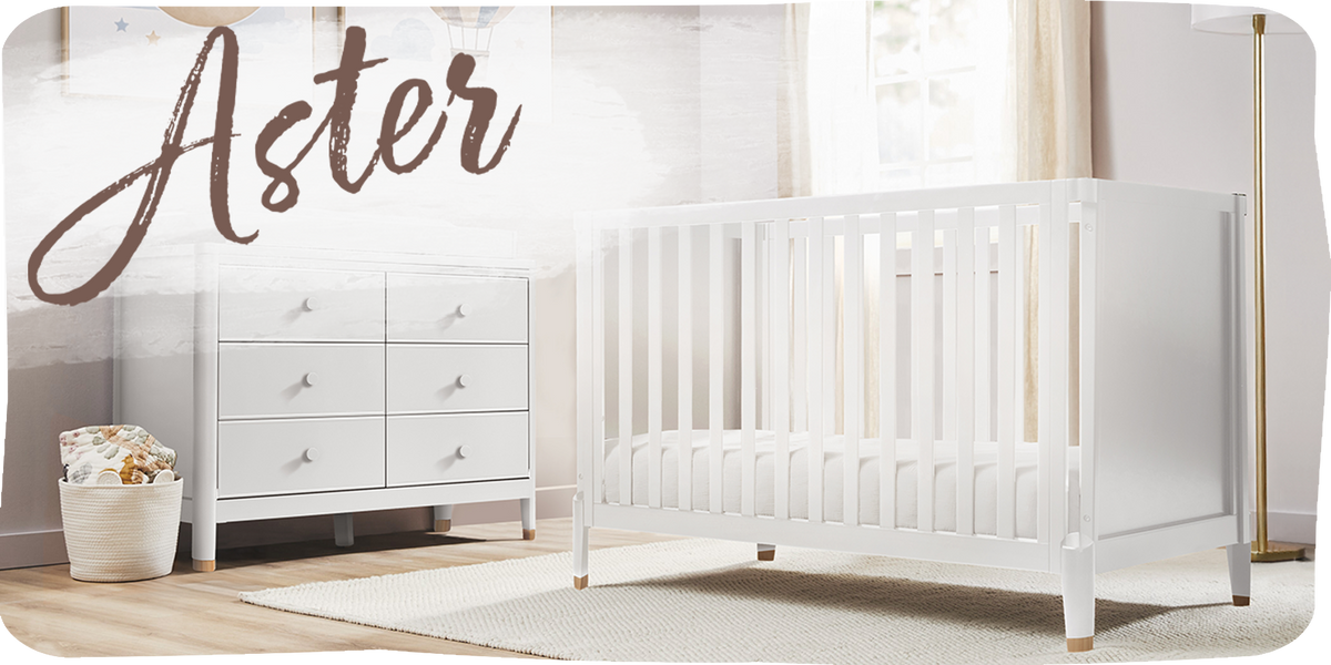 Aster Collection