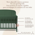Detailed view of the crib on a white background showcasing the three adjustable mattress positions and dimensions: 55'' L x 29.4 '' W x 46.3 '' H.
